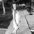 Martha Miller's profile image