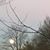 Terri Carter Maben's profile image