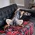 Lieutske Visser's profile image