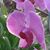 Diane Spinneberg's profile image