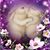 Debbie Abad's profile image