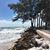 Sharon De Tillio's profile image