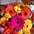 Connie Dusak's profile image