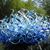 Chic Rementeria's profile image