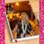 Aimee Thoms's profile image