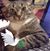 Tonda Wright's profile image