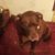 Ricky Carter's profile image
