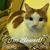 Kathleen Knight Protich's profile image