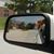 Tiffany Windecker Smithwick's profile image