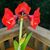 Donna Haggerty Birdwell's profile image