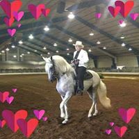 Deborah Modert's profile image