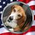 Brandy Jean's profile image