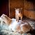 Susan Mallett's profile image