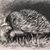 Glenda Jones's profile image