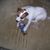 Cindie Morrill's profile image