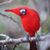 Lori Ann Murphy Roberts's profile image