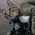 Maria Natoli Buchner's profile image