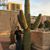 Servando Heredia's profile image