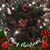 Kimberly Eherts Reynolds's profile image
