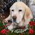 Nancy Stachnik's profile image