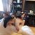 Matthew James Bonds's profile image