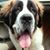 Wanda Baum's profile image