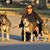 Kathleen Kelly McCormick's profile image