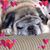 Charlene T. Walker's profile image