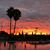 Luis Valdez's profile image