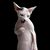 Beth Smith's profile image