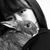 Tiffany Tran's profile image