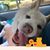 Tamara Cook's profile image