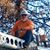 Andrew Roberson's profile image