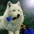 Jose Jovanni Velasquez's profile image
