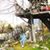 Susan Pierson's profile image