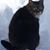 Deb Evans's profile image