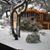 Susan P. Tames's profile image