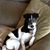 Robin Thibault's profile image