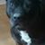 Cathy Gillespie's profile image