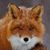 Pam Eisenreich's profile image