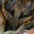 Todd Waldron's profile image