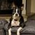 Julie Kimura Dowen's profile image