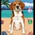 Ami Boyer's profile image