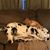 Linda Rheinsburg's profile image