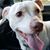 Mizell Dawn's profile image