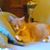 Beth Bernard's profile image