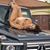 Seanna Pugh's profile image