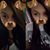 Kat Lion's profile image