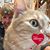 Kristey Parker Husband's profile image
