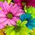 Tracy Mathis's profile image
